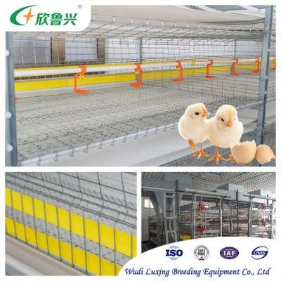 H Type Automatic Broiler Feeding System Battery Chicken Cage for Poultry Farming