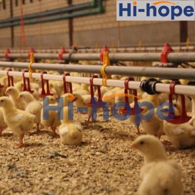 Factory Price Chicken Equipment Broiler Feeder and Drinker Equipment