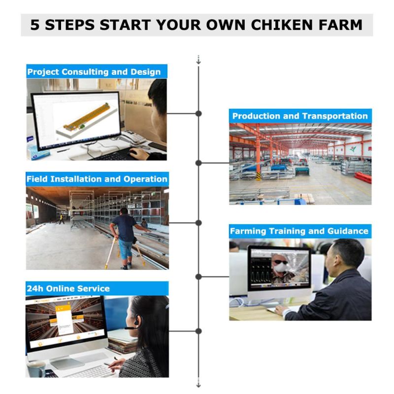 Modern Automatic 3/4/5/6/ Tiers H Type Poultry Battery Cages for Layers