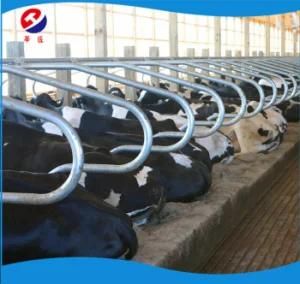 Cow Cubicles Double Type Free Stall 2018 Popular Customized Design