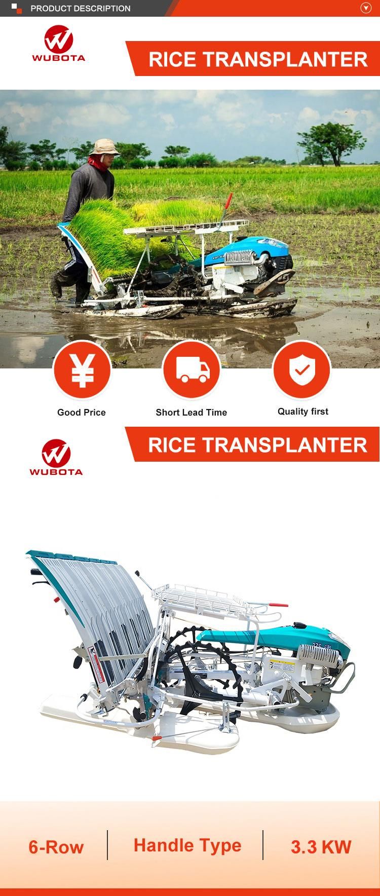 6 Row Farm Machinery Diesel Seed Planter Rice Transplanter for Sale
