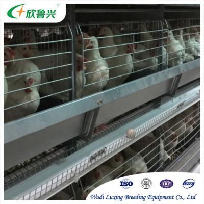 Poultry Farm Animal Cages Chicken Hens Breeding Laying Cage Equipment Egg Layer Cage for Battery Farming