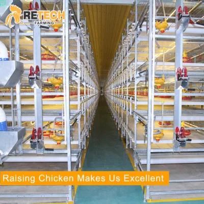 Automatic broiler chicken farm poultry equipment