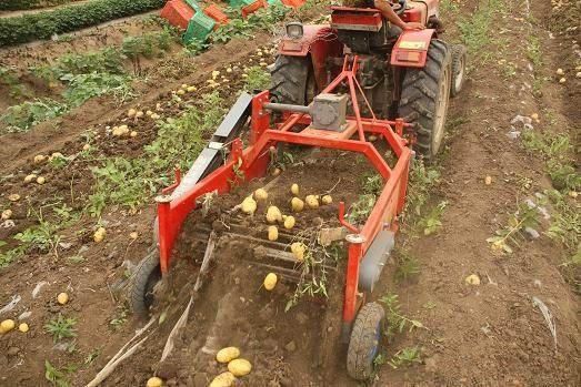 Farm Implement Tractor Mounted Double Rows Sweet Potato Digger Harvester for Sale