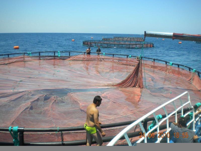 Circular Aquaculture Anti -UV Fish Farming Net Cage Floating Cage