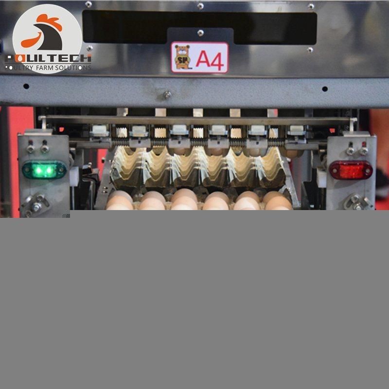 Chicken Egg Grading & Package Machine for Poultry Farm 60000 Eggs/Hour