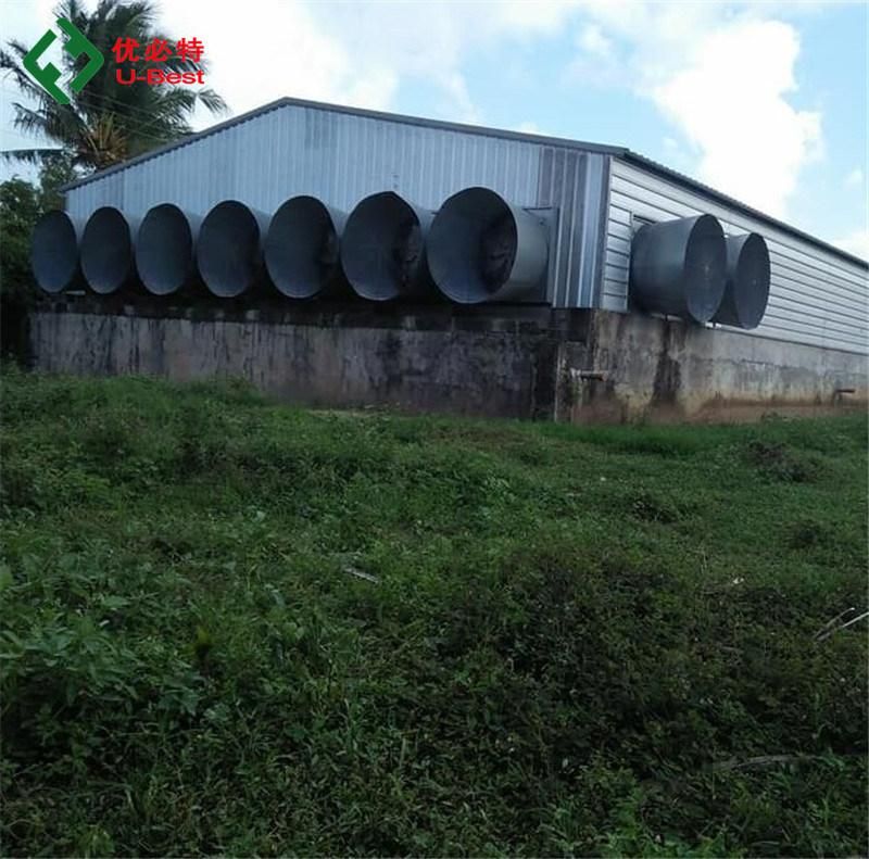 Cheap Steel Structure Poultry Farm in China Poultry Equipment Chicken Farms