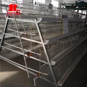Best Price a Type Layer Cage Poultry Equipment