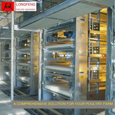 Longfeng Standard Packing Layer Battery Broiler Chicken Cage with Better Ventilation