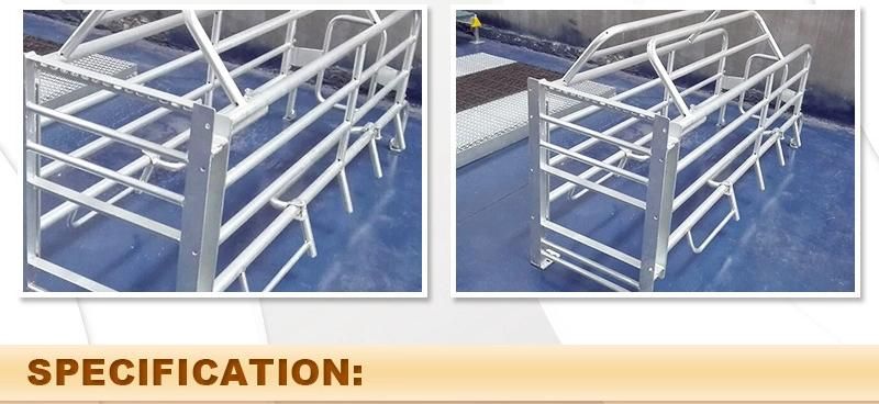 High Quality Pig Farming Equipment Sow Used Designed Pig Farrowing Stall