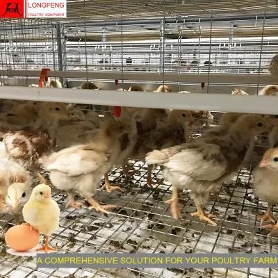 Nipple Drinking Line 288birds 240 192 144 3-6tiers on-Site Installation Instruction Chicken House Factory