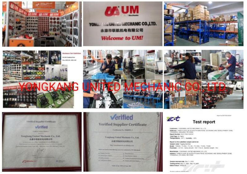 Um Factory Use Big Stainless Steel Fogging Machine Powerful Diesel Sprayer