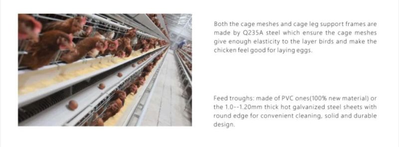 Automatic Egg Layer Chicken Farm Birds Cage Poultry Cages for Sale