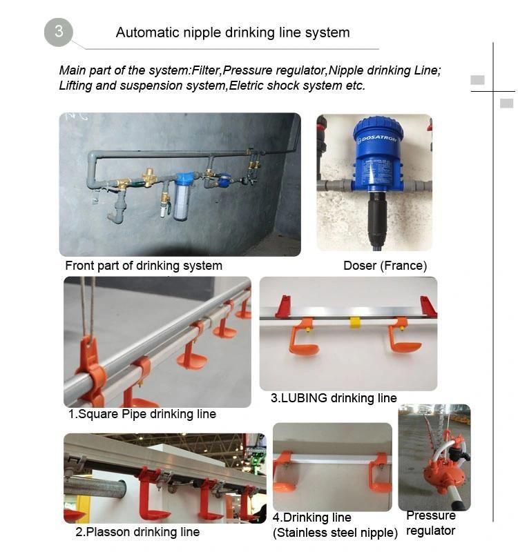 Automatic Poultry Broiler Feeder and Drinker Line System Chicken Poultry Farm Equipment