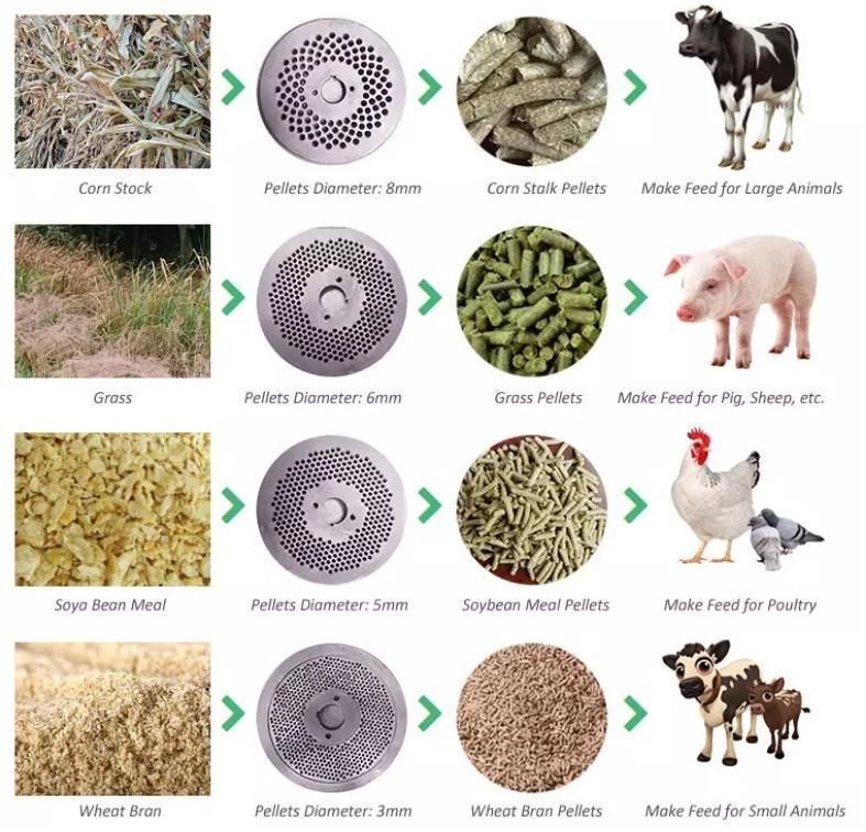 500-700 Kg/H Mini Feed Processing Machines Animal Feed Pellet Machine