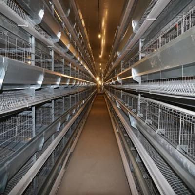 2021 New Type Layer Chicken Cage with Automatic Machine System (H Frame)