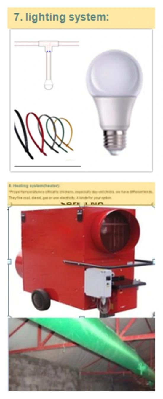 Automatic Chicken Poultry Farm Equipments for Broiler