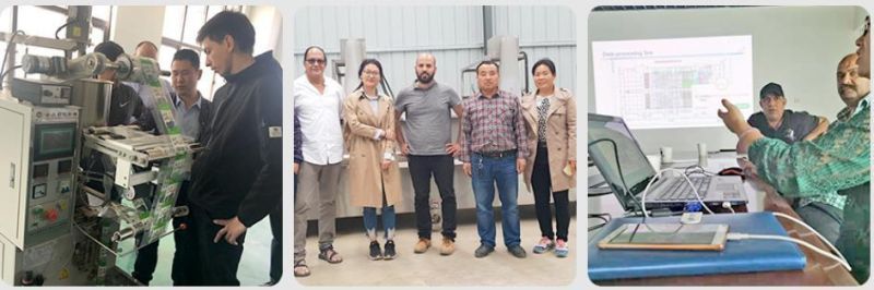Customized Sunflower Pressing Sesame Press Palm Oil Extraction Machine