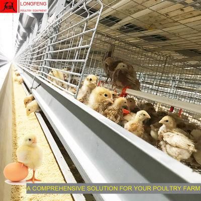 Hot Galvanized Large Scale Poultry High Density 288birds Chicken House with Low Price