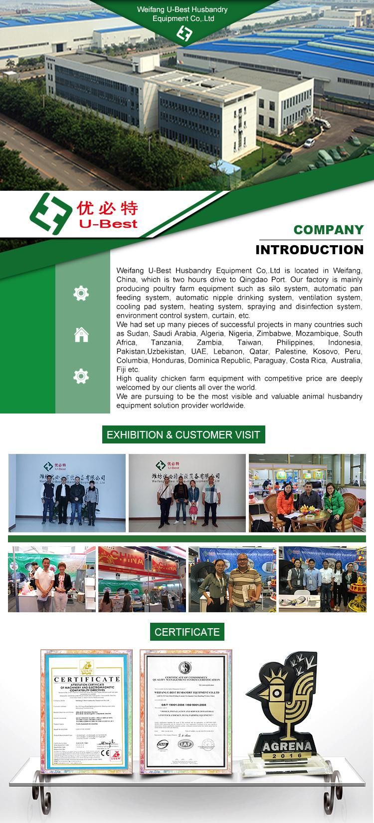 CE Approved Automatic Floor Feeding Poultry Equipment for Broiler/Layer Chicken