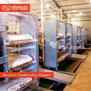 Hot Galvanized Automatic Chicken Farm Poultry Cage System/Battery Layer Poultry Cage for Broiler/Poultry Farming