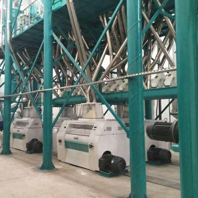 100tpd Maize Meal Milling Machines for Super Market