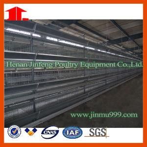 Jinfeng Hot Sell High Quality H Type Automatic Chicken Cage