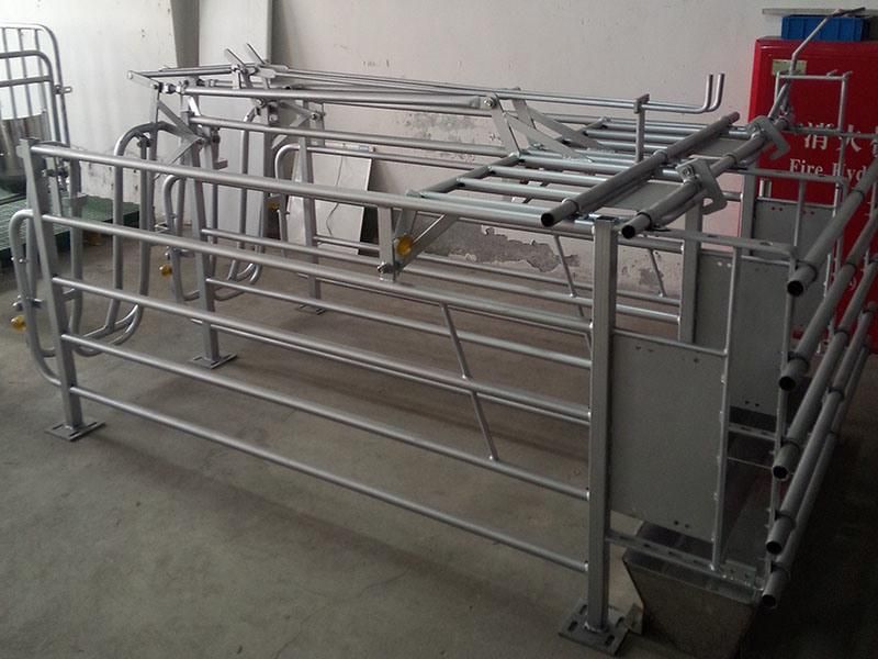 Hot DIP Galvanized Pig Gestation Stall