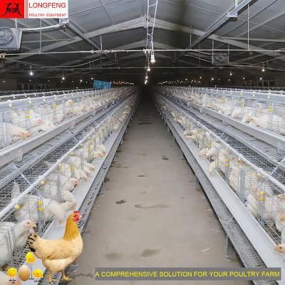 275g Hot Galvanized Wire Mesh and Sheet Egg Chicken Poultry Farm Cage