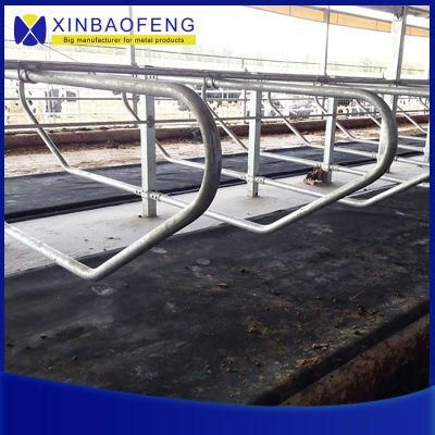 Cow Cubicles Cattle Livestock Divided Panels Cow Free Stall for Dairy Farm Equipment