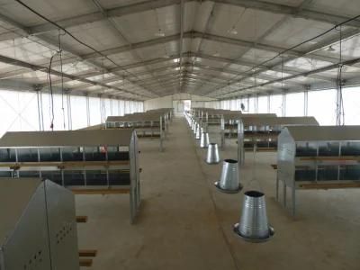Poultry Farm House Design / Egg Chicken House Design for Layers Chicken House