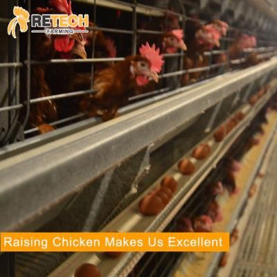 Automatic Poultry Farm Egg Laying Hens Equipment