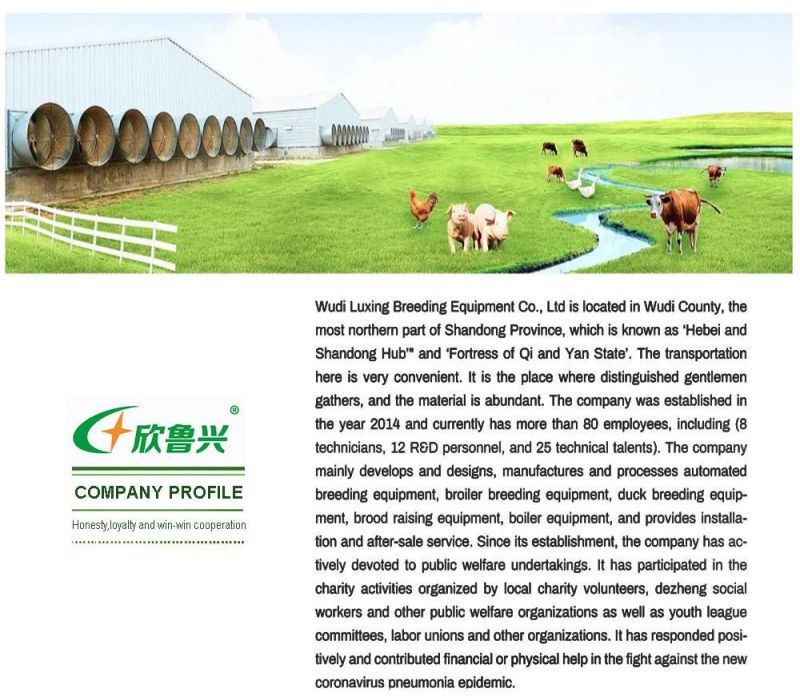 Industrial Commercial Poultry Farming Equipment Battery Chicken Feeding System Broiler Cage