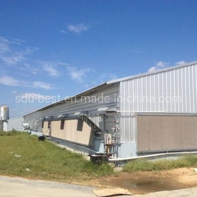 Modern and Advanced Automatic Poultry Equipment for Broiler Chickens