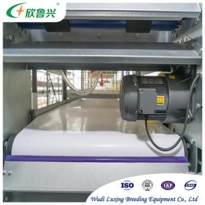 Poultry Farm Automatic Broiler Manure Removal Machine System for Cleaning Chicken Dung