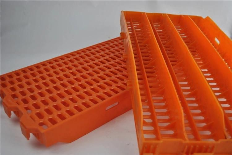 Pig Farm PP Material Plastic Slat Flooring for Sow