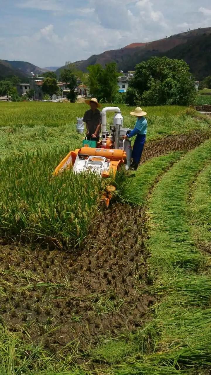 Mini Harvester---Semi-Feeding Caterpillar Self-Propelled Rice Combine Harvester