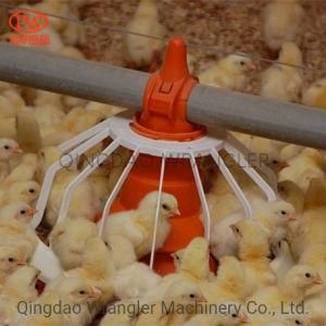 Automatic Auger Feed System for Poultry Broiler Breeder Equipment