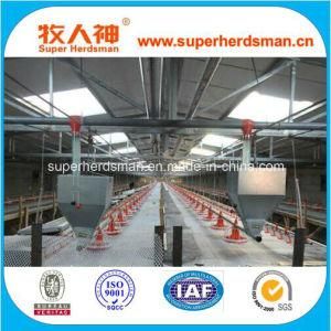 Automatic Poultry Farming Equipment for Broilers and Chickens