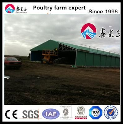 Industrial Construction Design Prefab Steel Structure Poultry Chicken Layer Farm Shed House