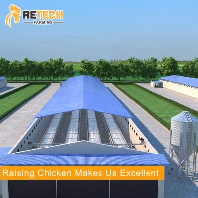 New design layer poultry farm chicken equipment
