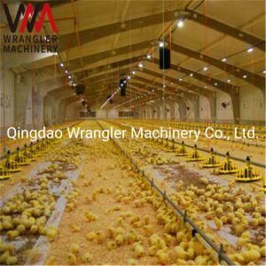 Automatic Poultry Pan Feeding Equipment