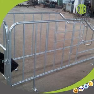 Hot Sale European Sow Stalls Sow Gestation Pens