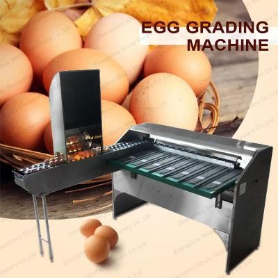 Factory Price Automatic Egg Accumulator Egg Grader Egg Sorting Egg Grading Machine