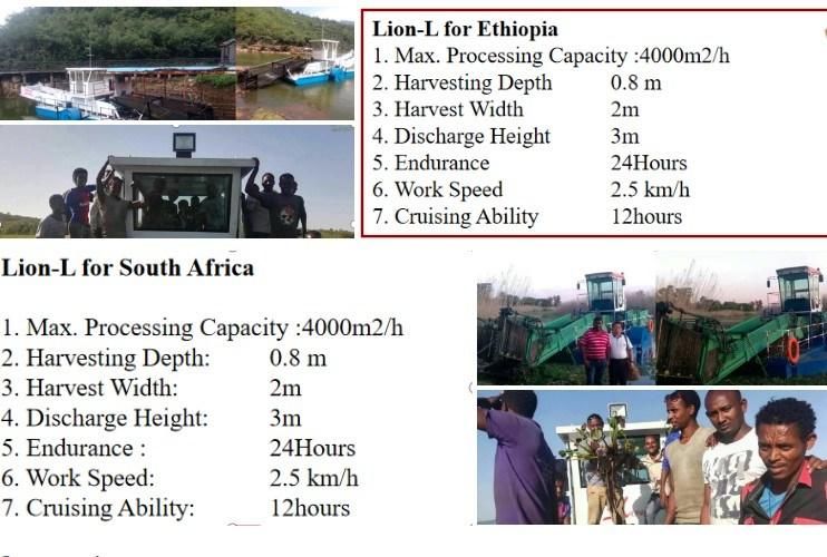 Water Weed Harvesting Vessel with Conveyor Belt and Storage Cabin