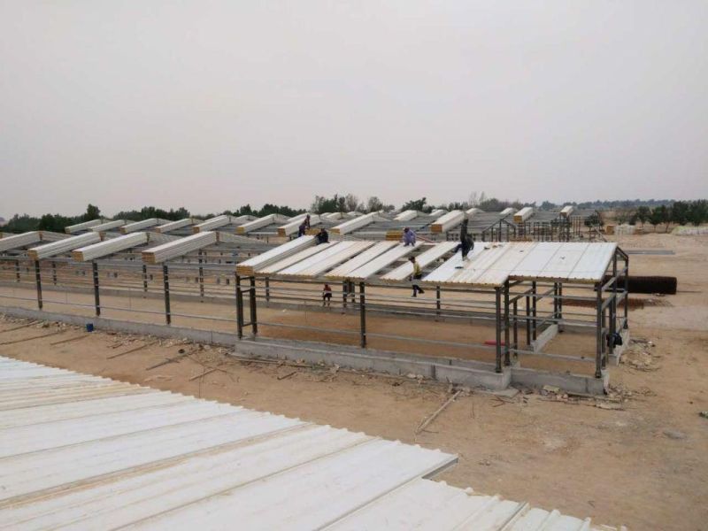 Steel Structure Warehouse