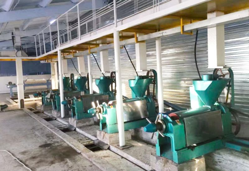 Small Scale Peanut Oil Production Line/ Cottonseed Oil Pressing Machine/ Sunflower Oil Screw Press
