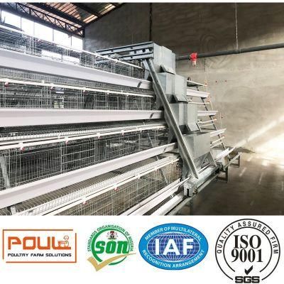 Automatic Layer Chicken Cage Equipment