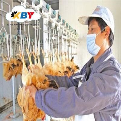 1000bph, 2000bph, 3000bph Poultry Chicken Farm Abattoir Slaughtering Machine Equipment