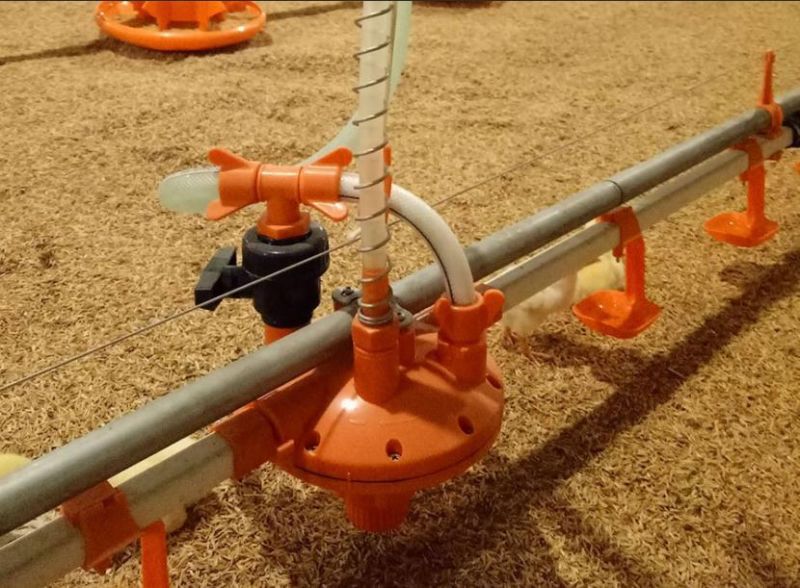 Shandong U-Best Poultry Farm Feeding Equipment Nipple Drinker for Chinken